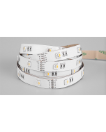 RGBW 4-in-1 SMD 5050 LED