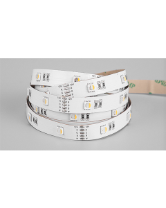RGBW 4-in-1 SMD 5050 LED