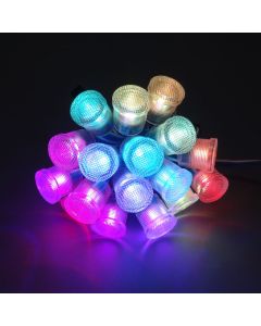 20mm waterproof 5V WS2811 RGB 5050 LED point pixel light