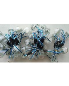 36mm waterproof 12V UCS2903 RGB 5050 LED point light