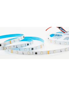 TM1934 RGB 5050 LED strip